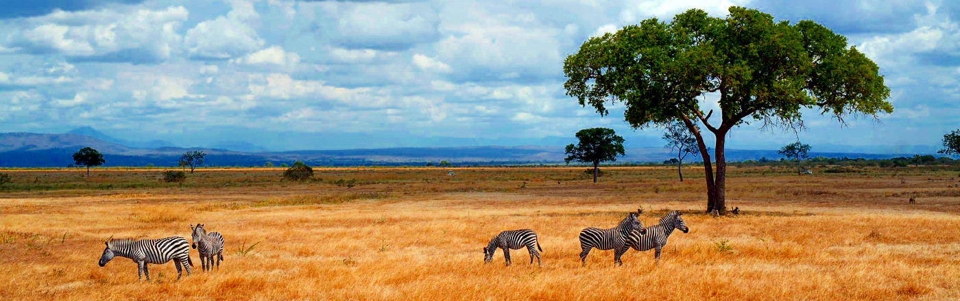 Tanzania