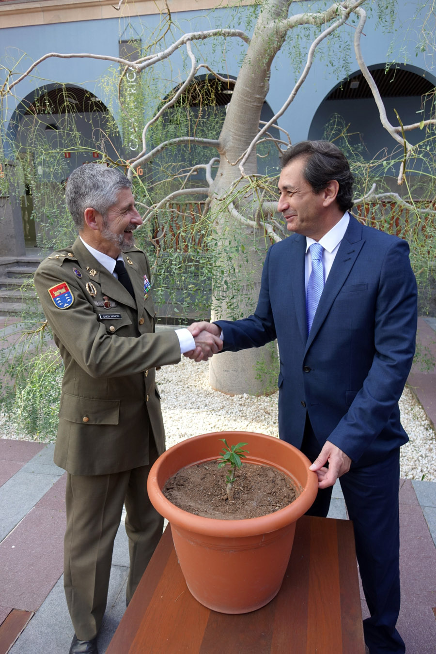 Un nuevo baobab para Casa África