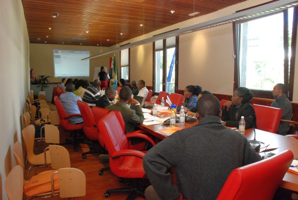 1124_biblioteconomia05.jpg