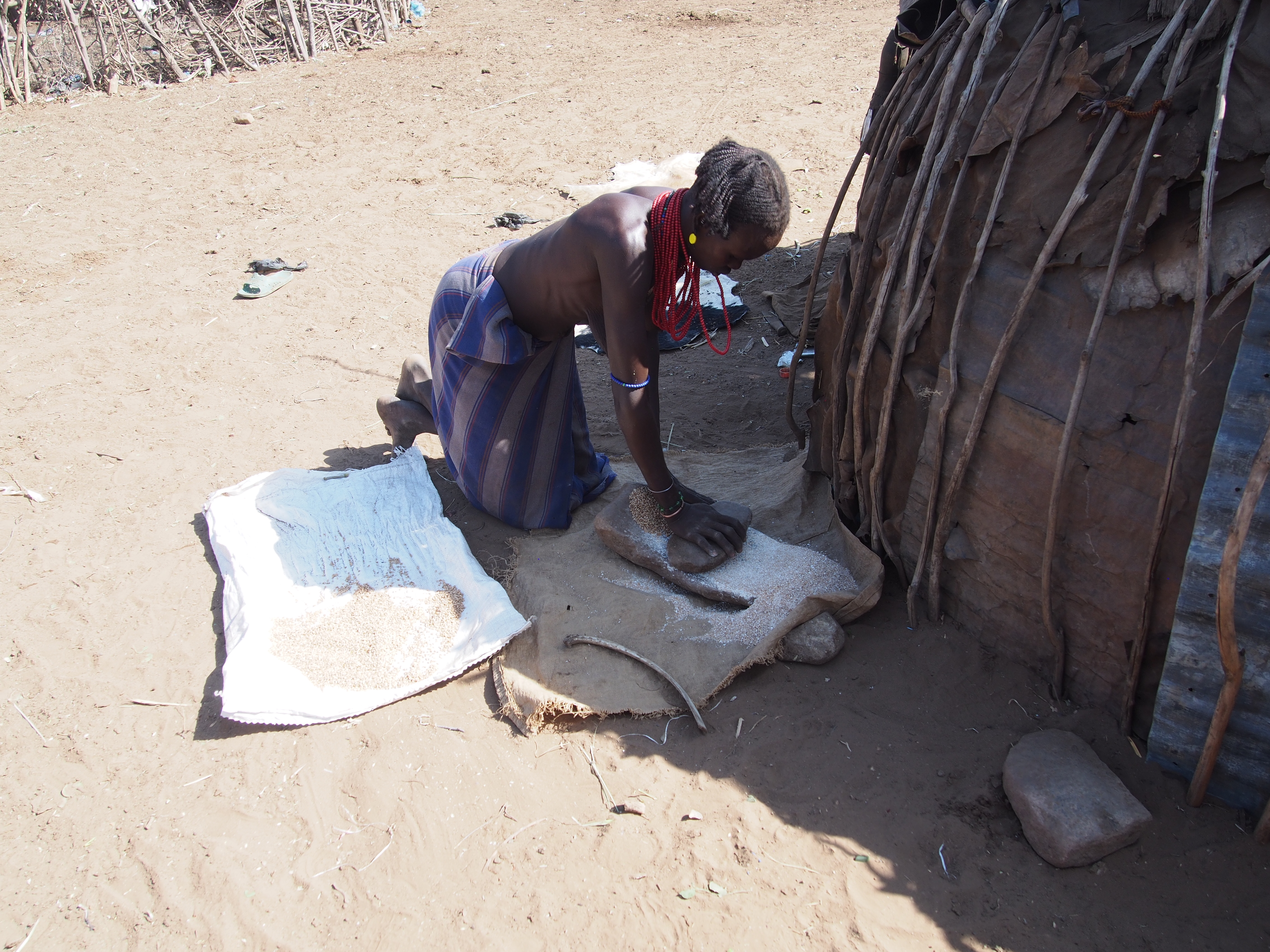 Tribu Dasanech, Omorate