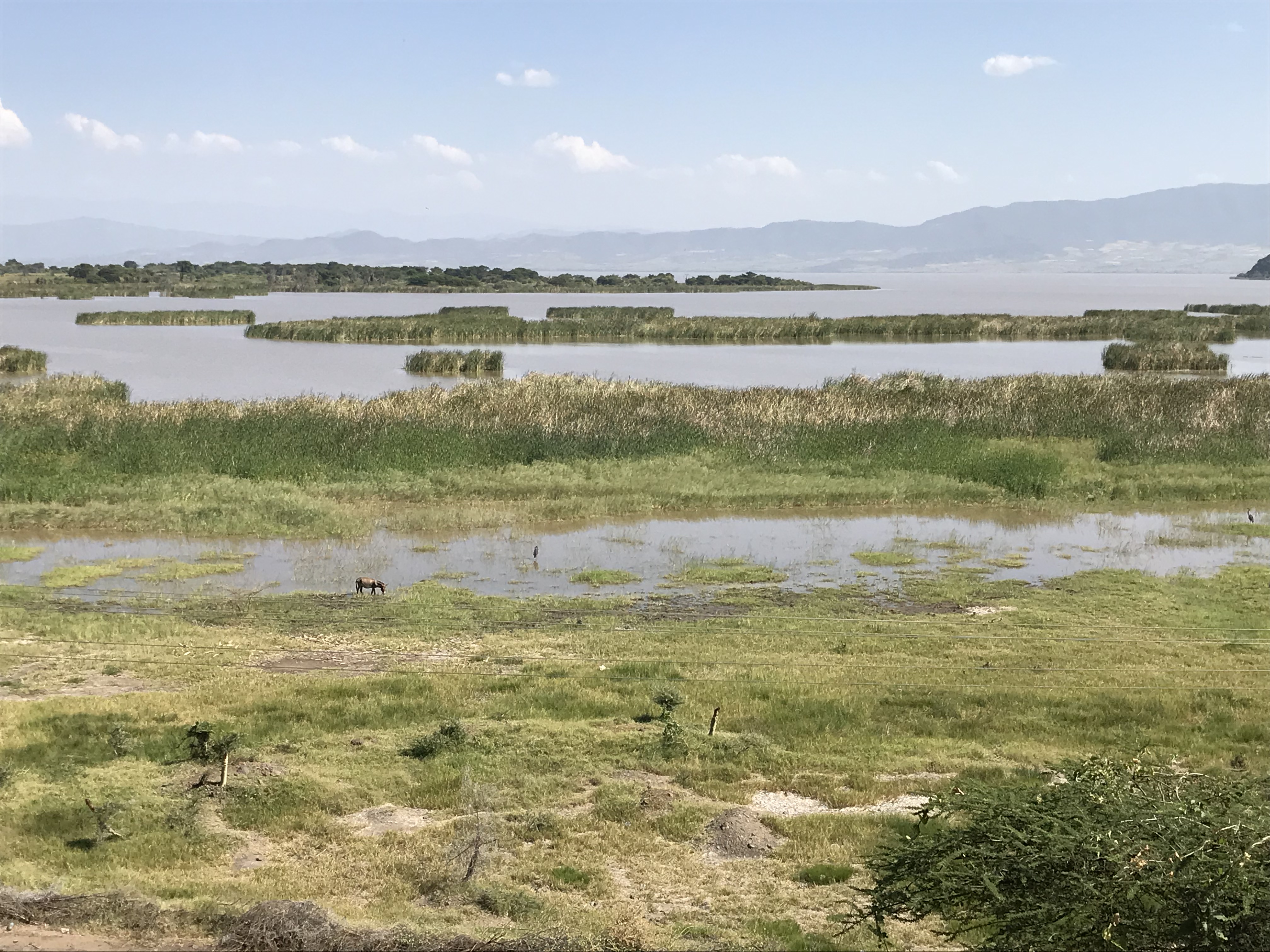 Lago Chamo, cerca de Arba Minch
