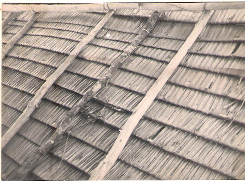 5.1. Anexo 15, foto n.º 07. nattes - sostre rafia -