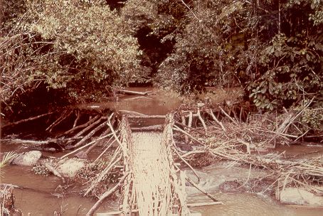 5.1. Anexo nº 15, foto 11. piège pêche rivière olam