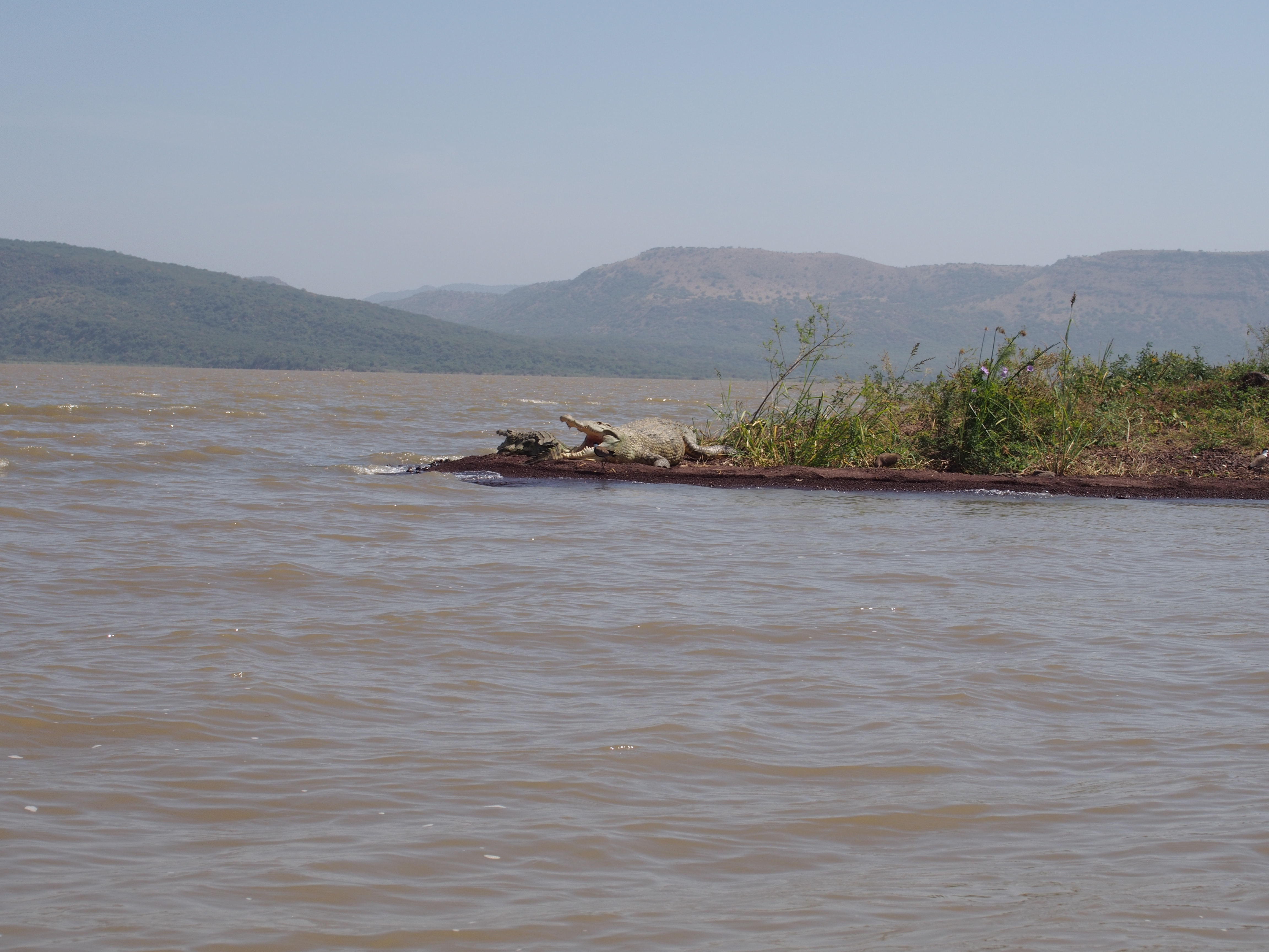 Lago Chamo