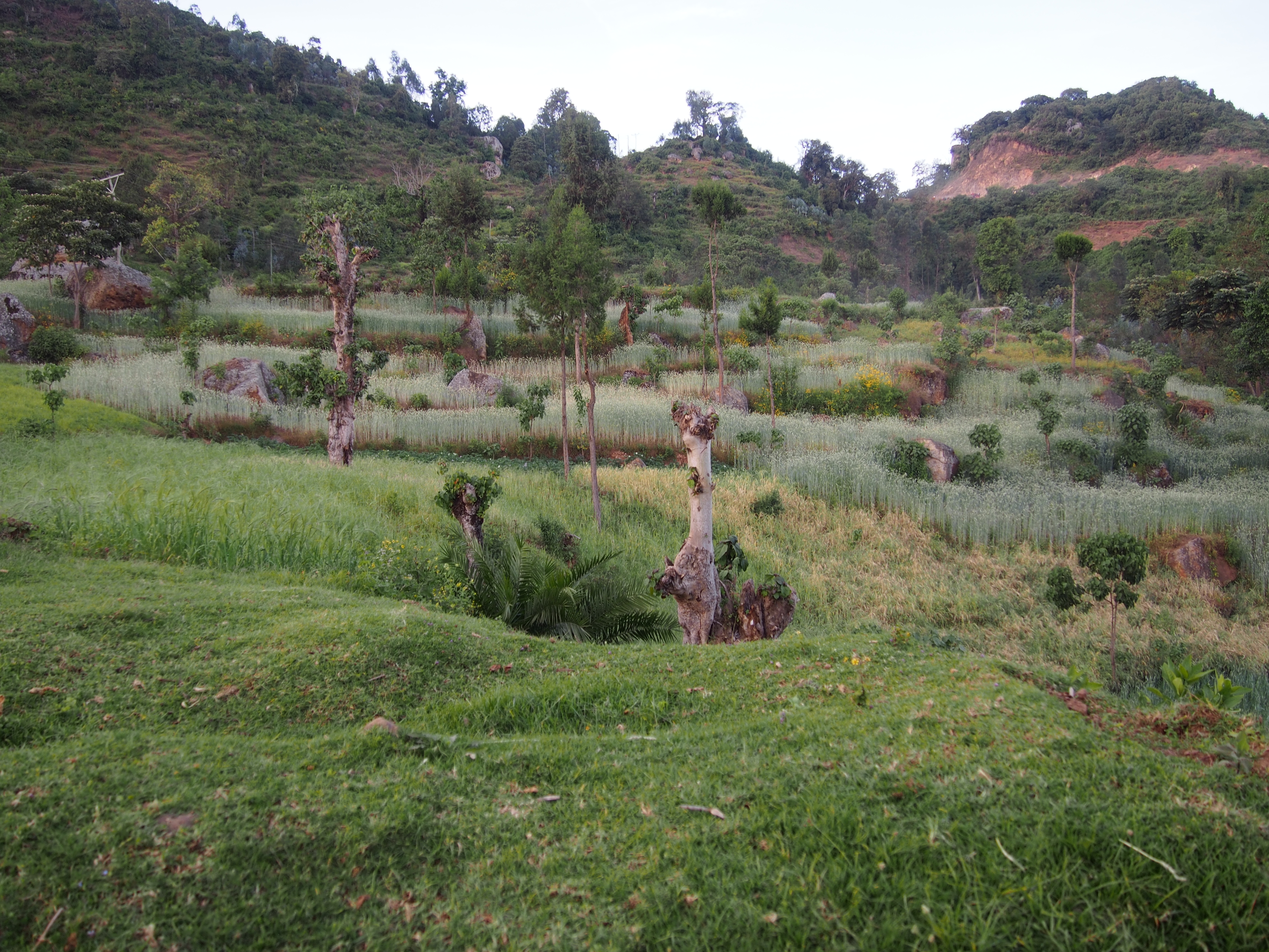 Región de los Dorze, cerca del lago Abaya