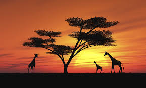 Atardecer en África