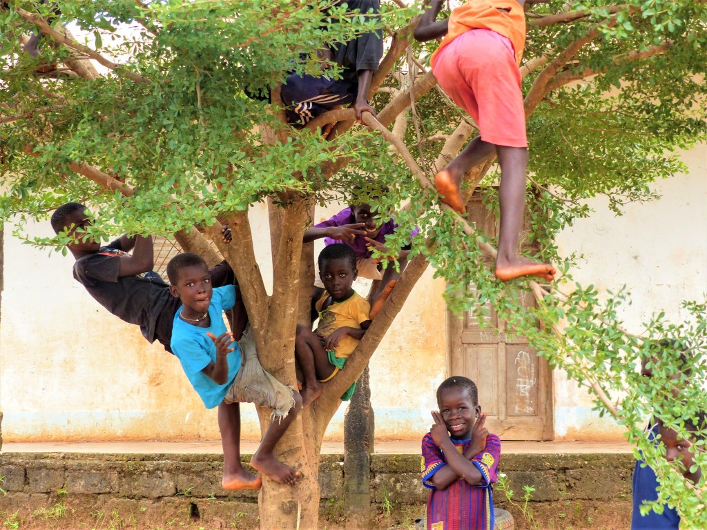 El árbol de la alegría