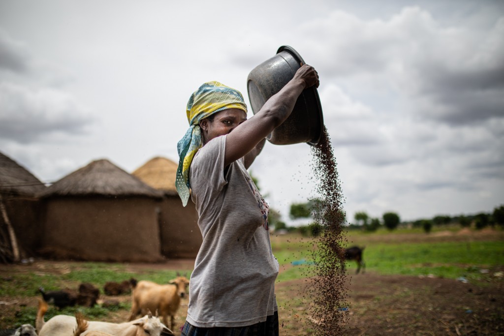 Ganas de comer: Ghana sin hambre