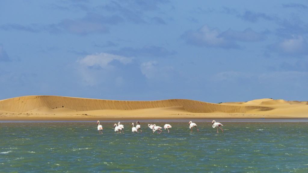 Laguna de naila