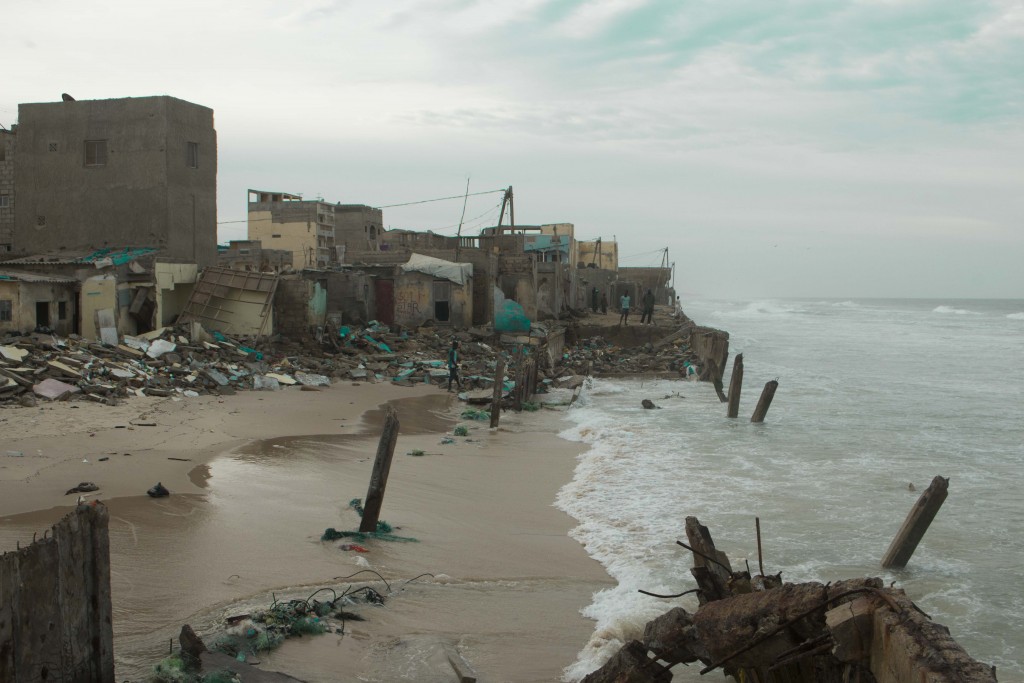 Langue de barbarie fracasse