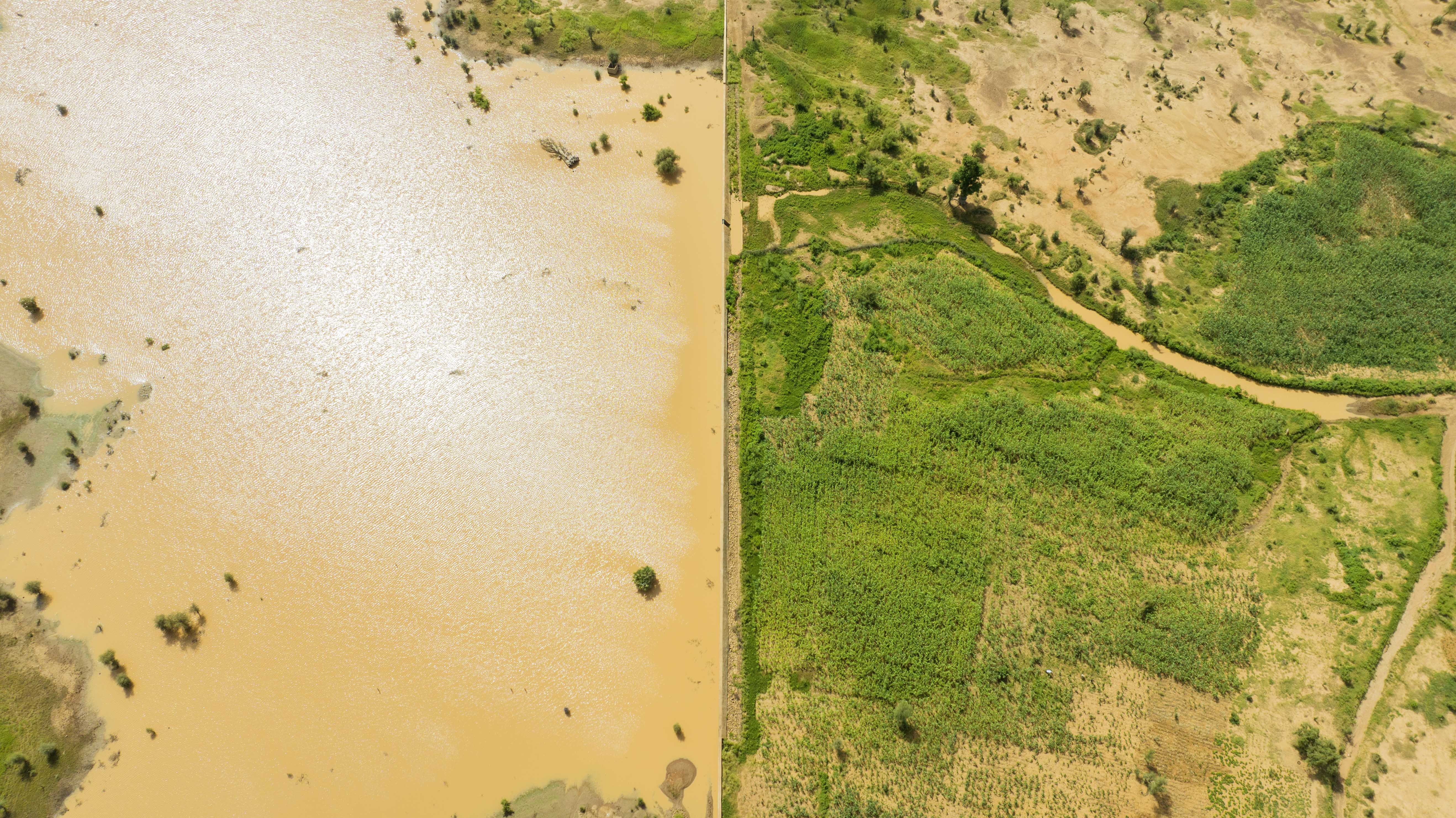 Primer premio: Mutation des paysages, de Moctar Mamoudou Sy (Mauritania)