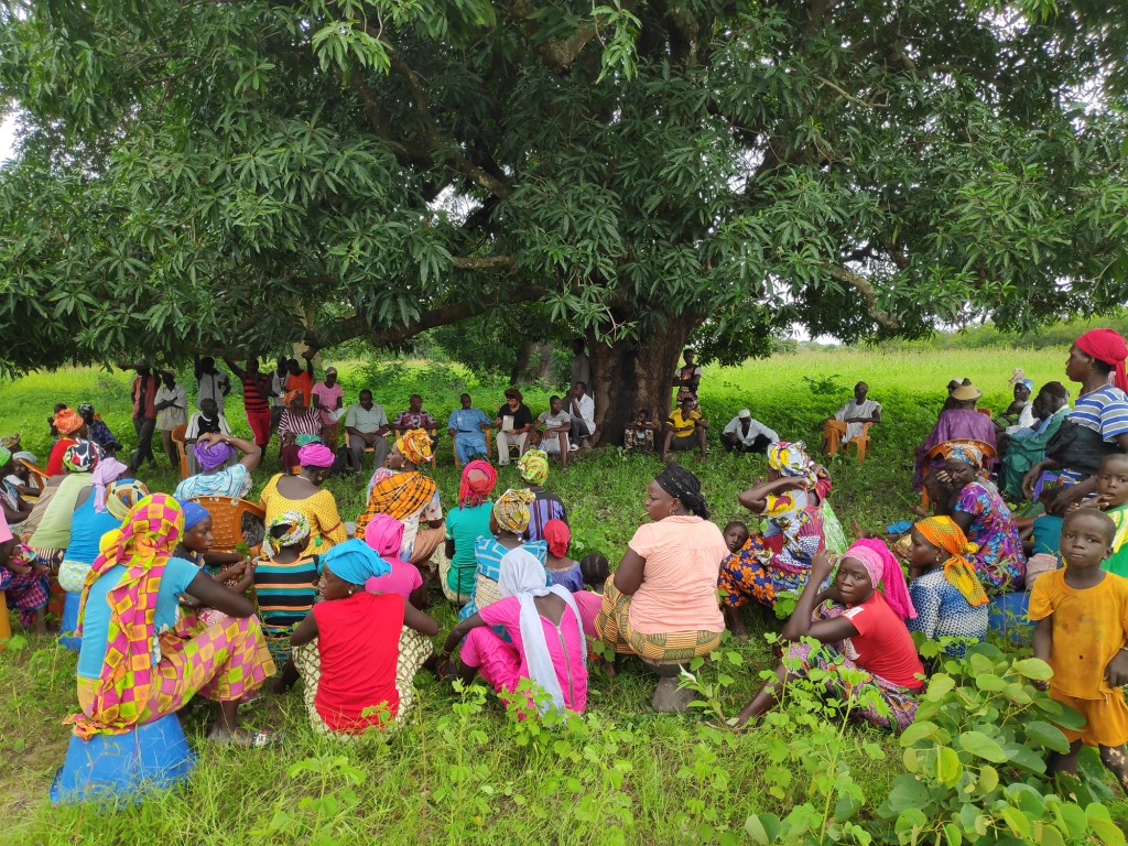 Reunidas en torno al sabio árbol