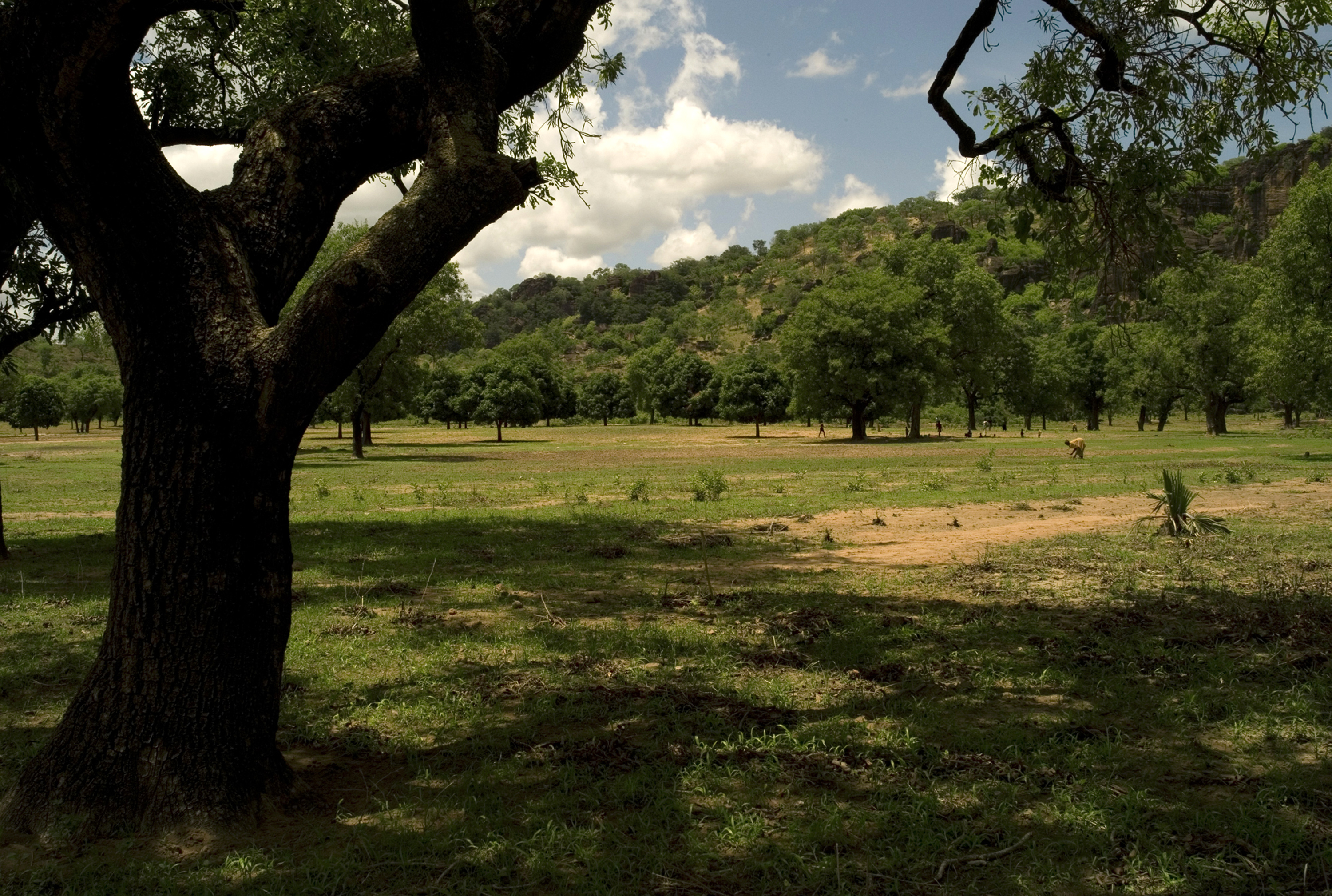 40.	Usos y costumbres, proyecto Soutoura de Ángel Luis Aldai, Casa África