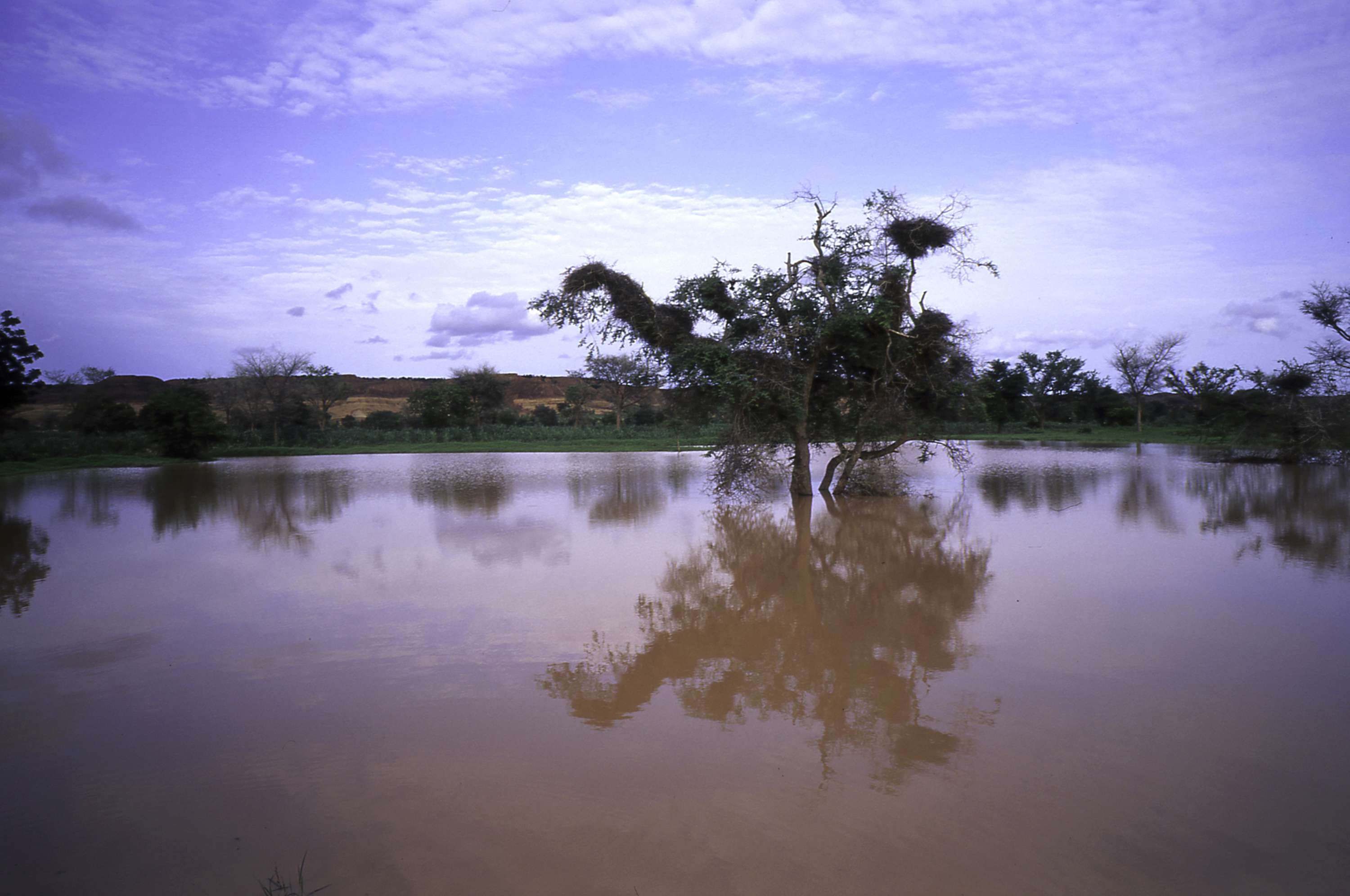 1.	Paisajes, proyecto Soutoura de Ángel Luis Aldai, Casa África