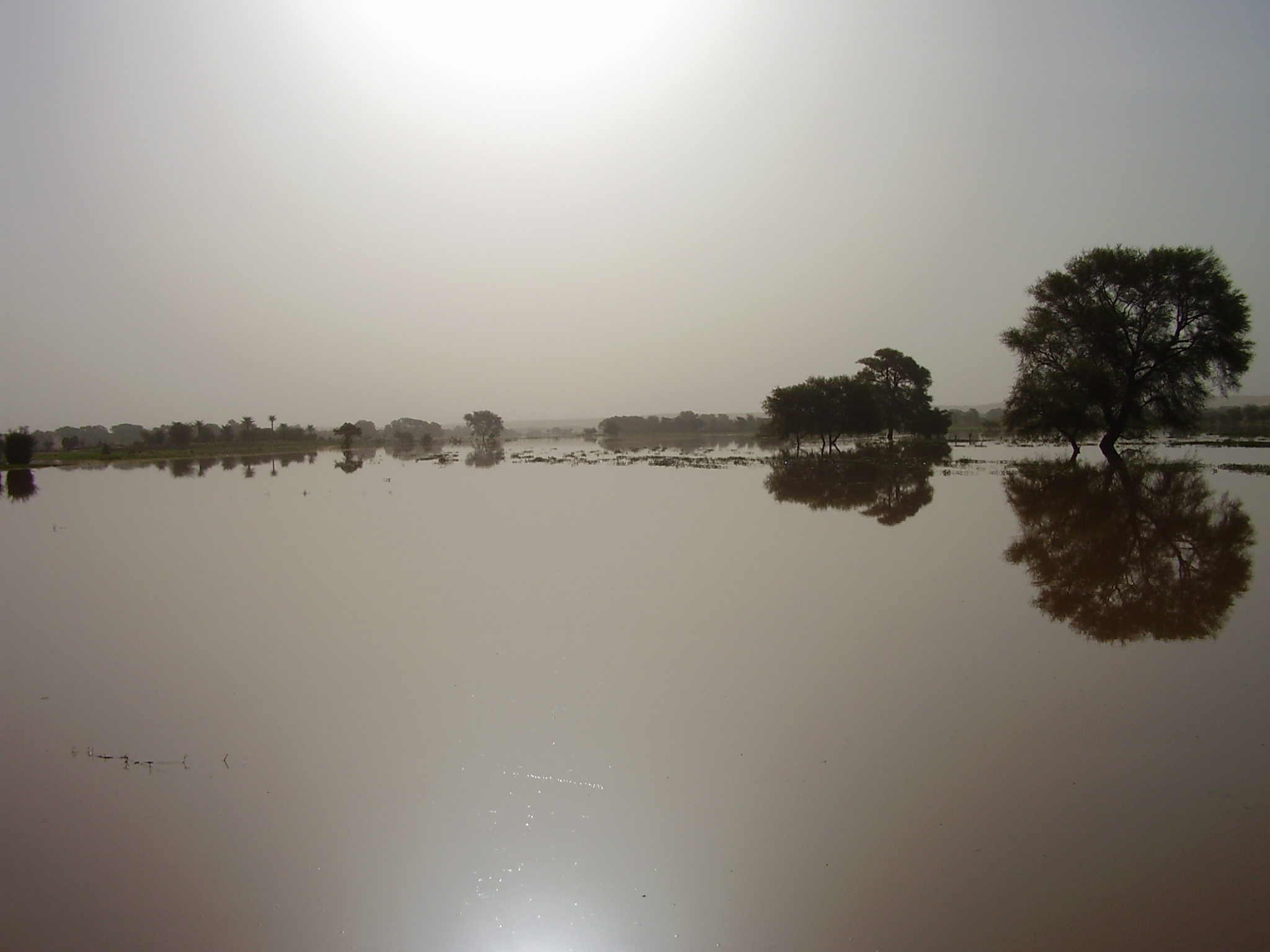 5.	Paisaje de Tidjikja (Mauritania, 2005)