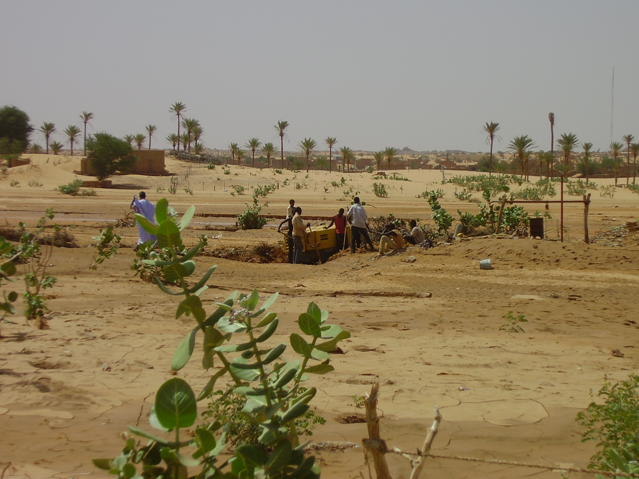 6.	Paisaje de Tidjikja (Mauritania, 2005)