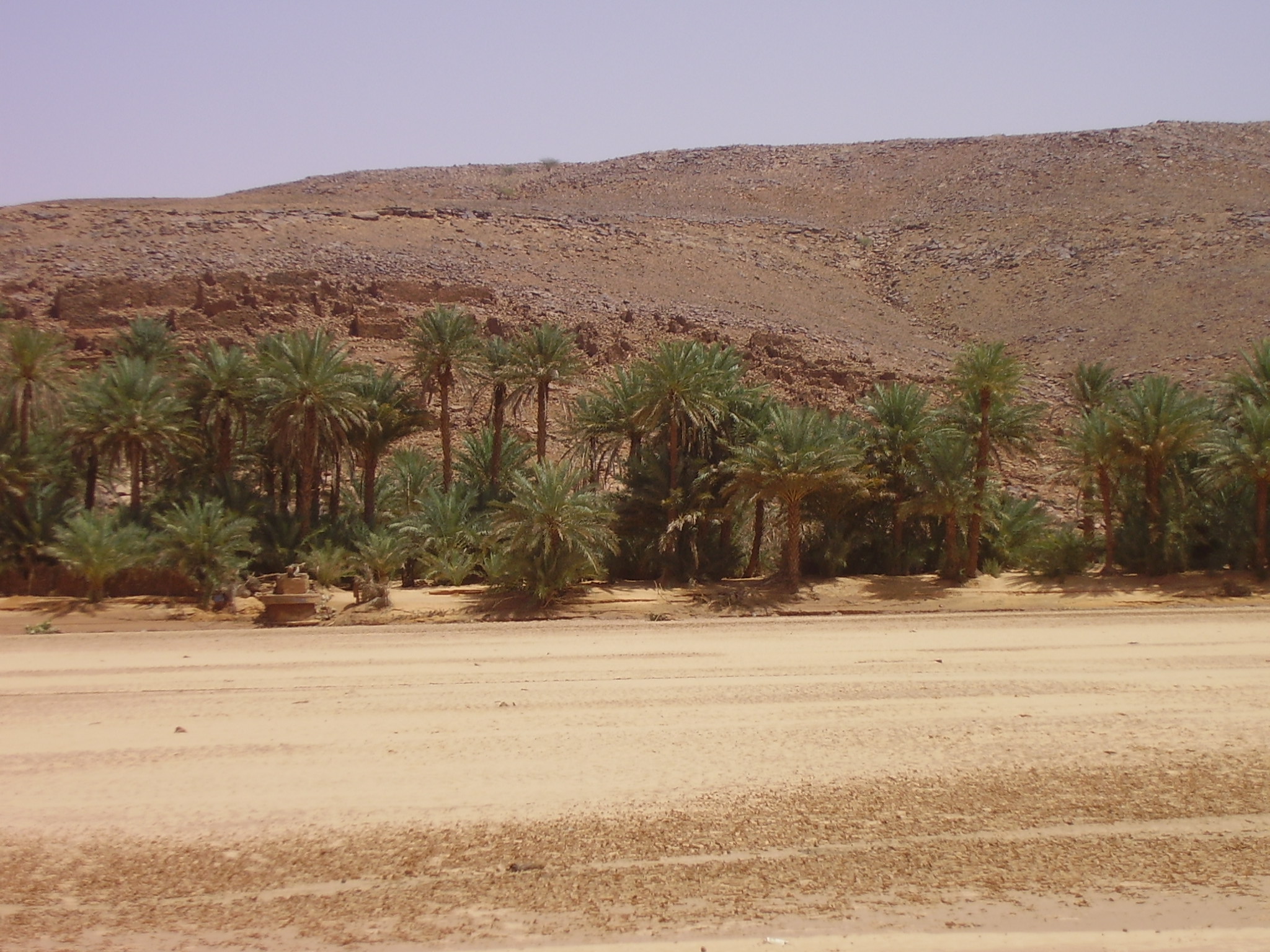 12.	Paisaje de Tidjikja (Mauritania, 2005)