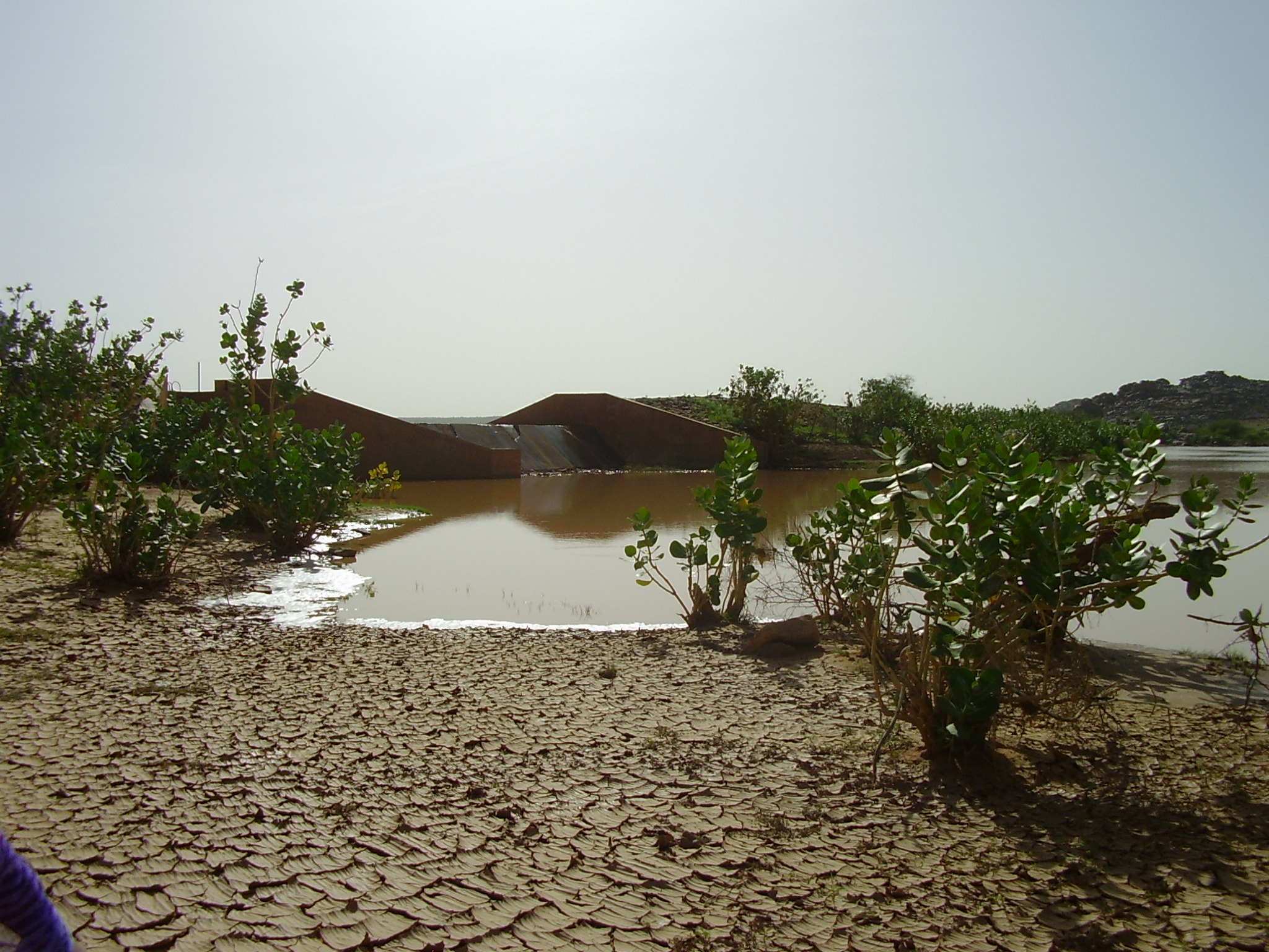 16.	Paisaje de Tidjikja (Mauritania, 2005)
