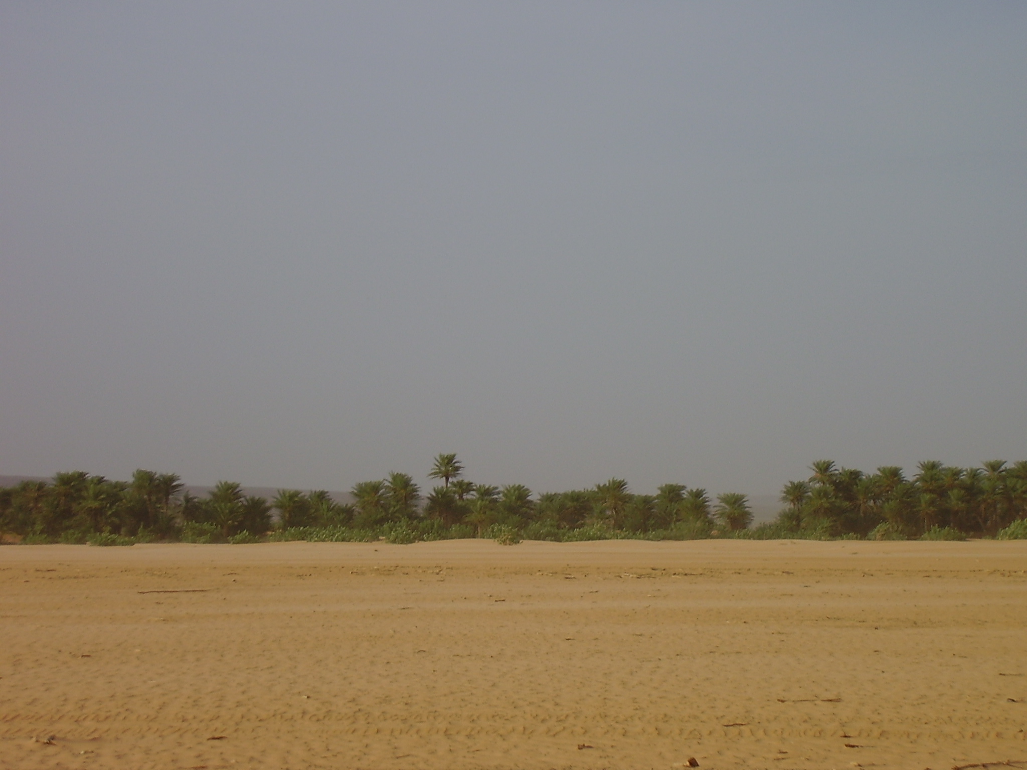 19.	Paisaje de Tidjikja (Mauritania, 2005)