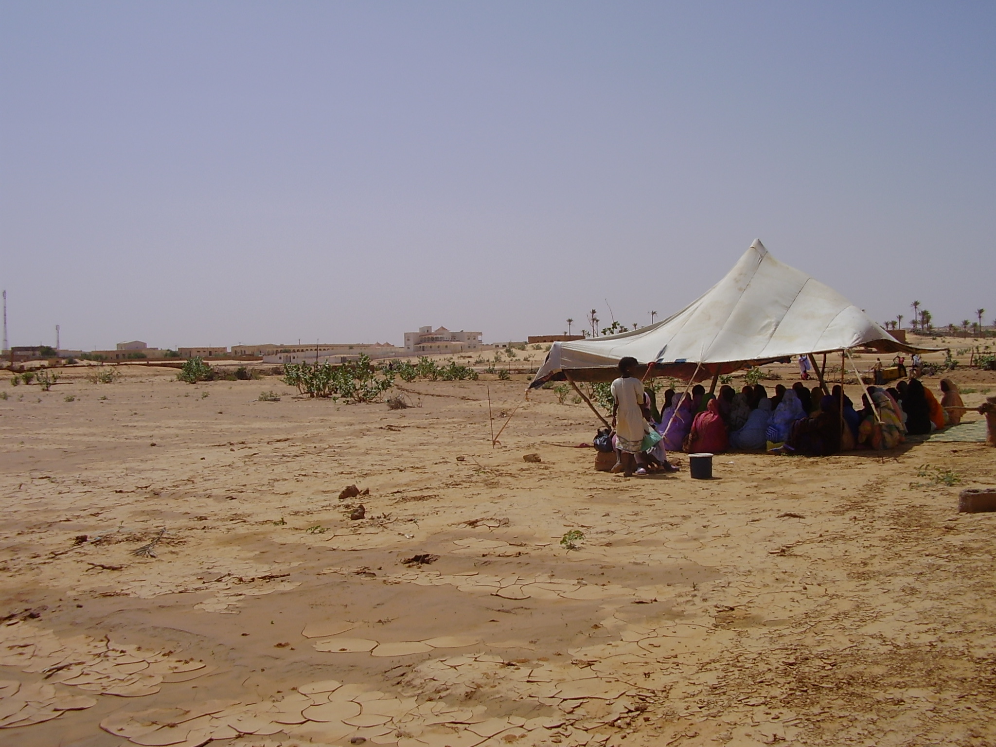 47.	Usos y costumbre de Tidjikja (Mauritania, 2005)