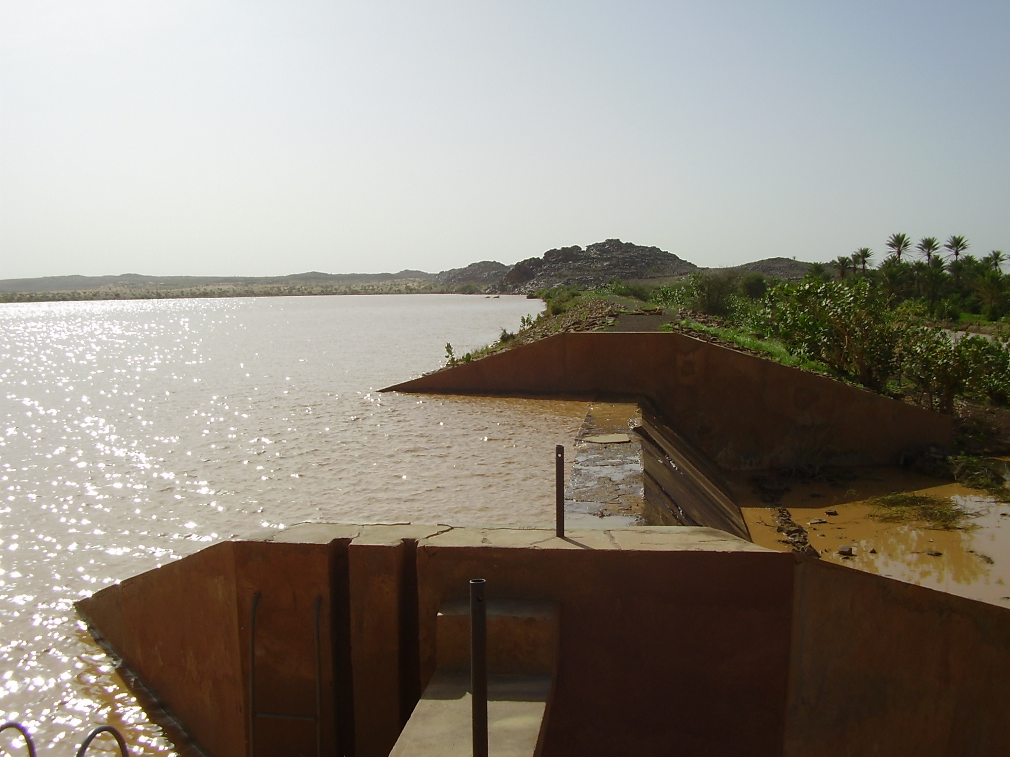 50.	Usos y costumbre de Tidjikja (Mauritania, 2005)