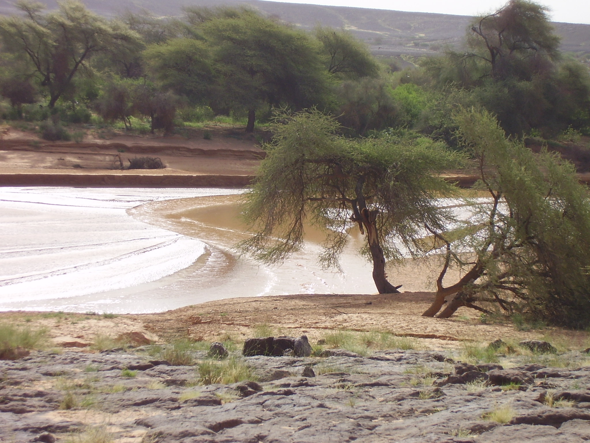 58.	Usos y costumbre de Tidjikja (Mauritania, 2005)