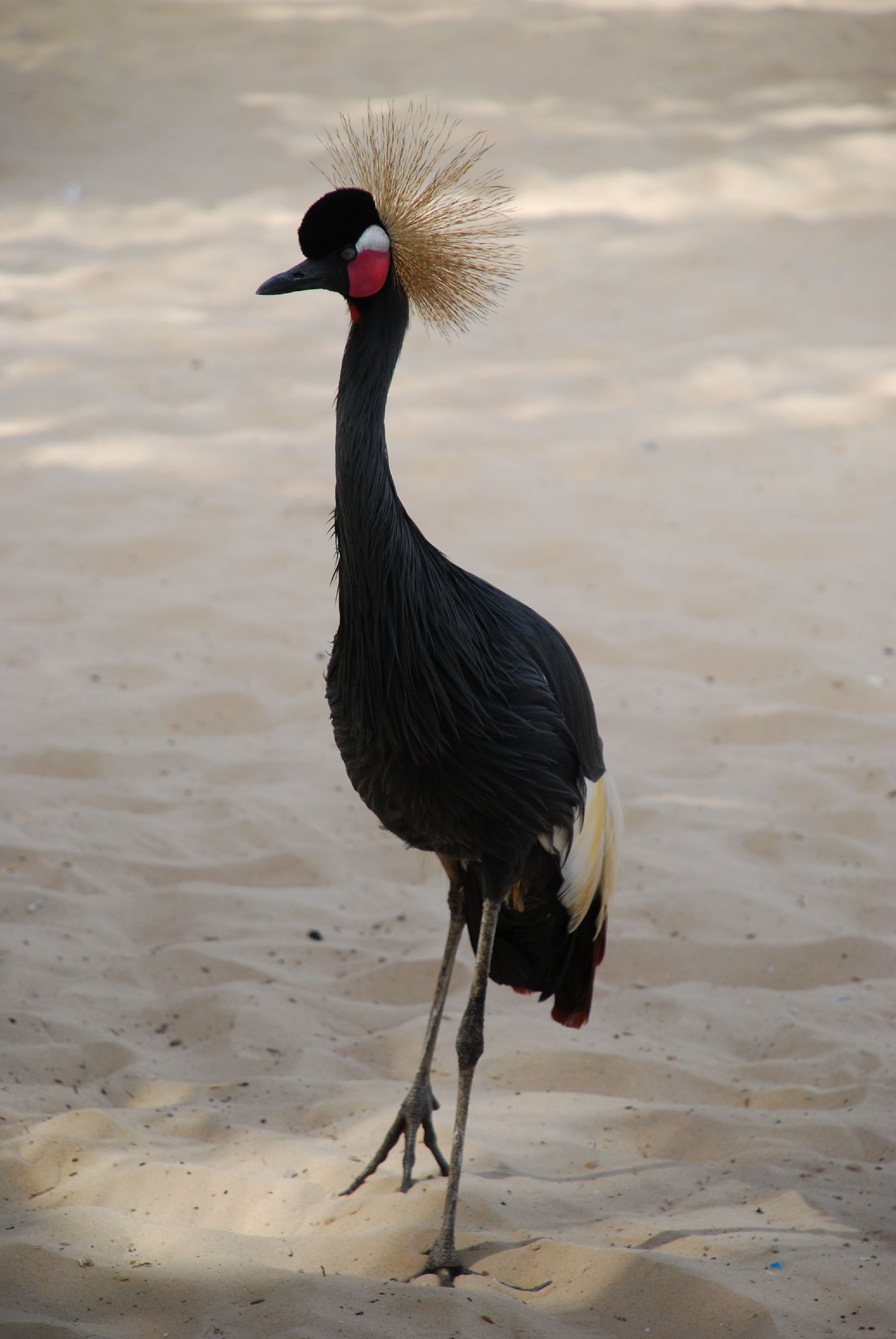 19. Imágenes de Dakar, Senegal