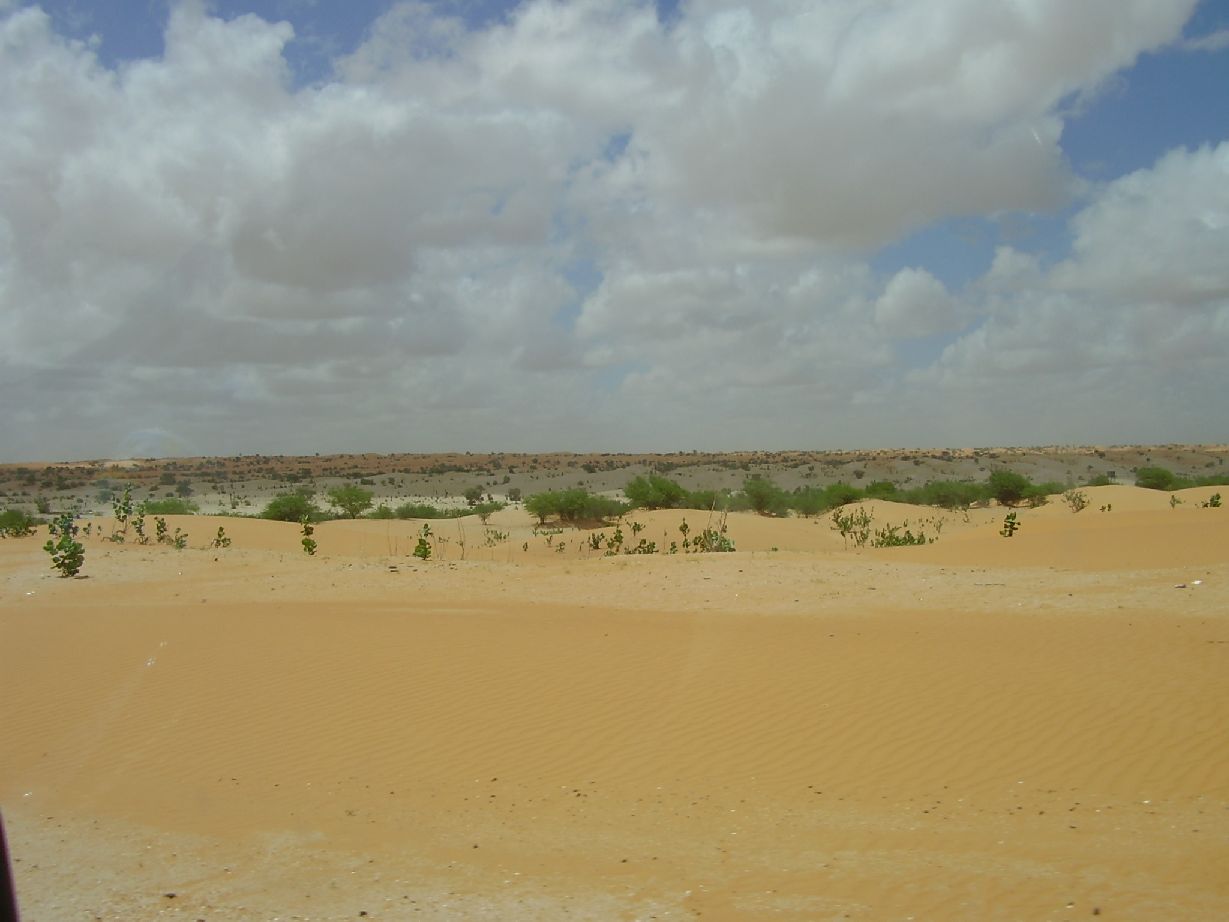 5. Imágenes de Butilimit, Mauritania