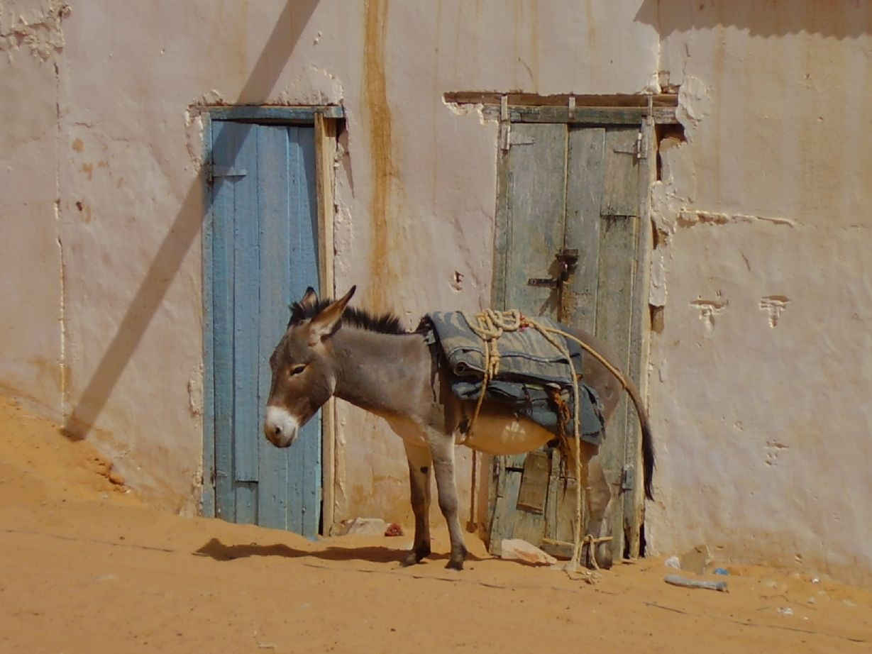 7.	Imagen de Chinguetti, Mauritania
