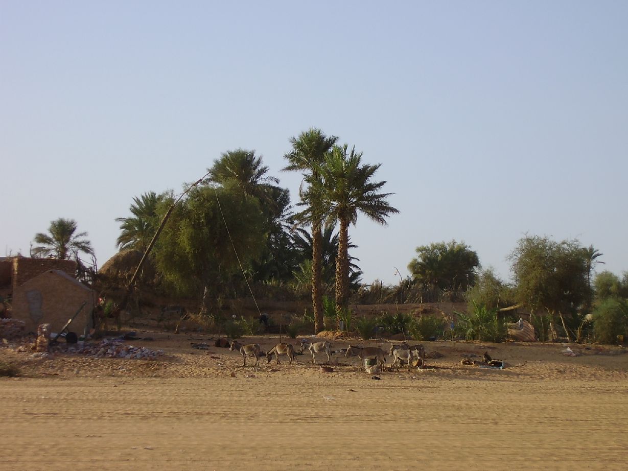 9.	Imagen de Chinguetti, Mauritania