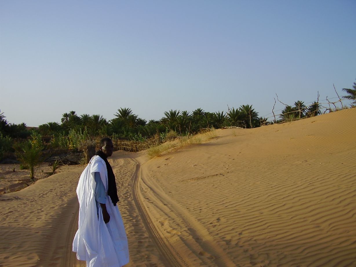 20.	Imagen del oasis Tkumkum en Chinguetti, Mauritania