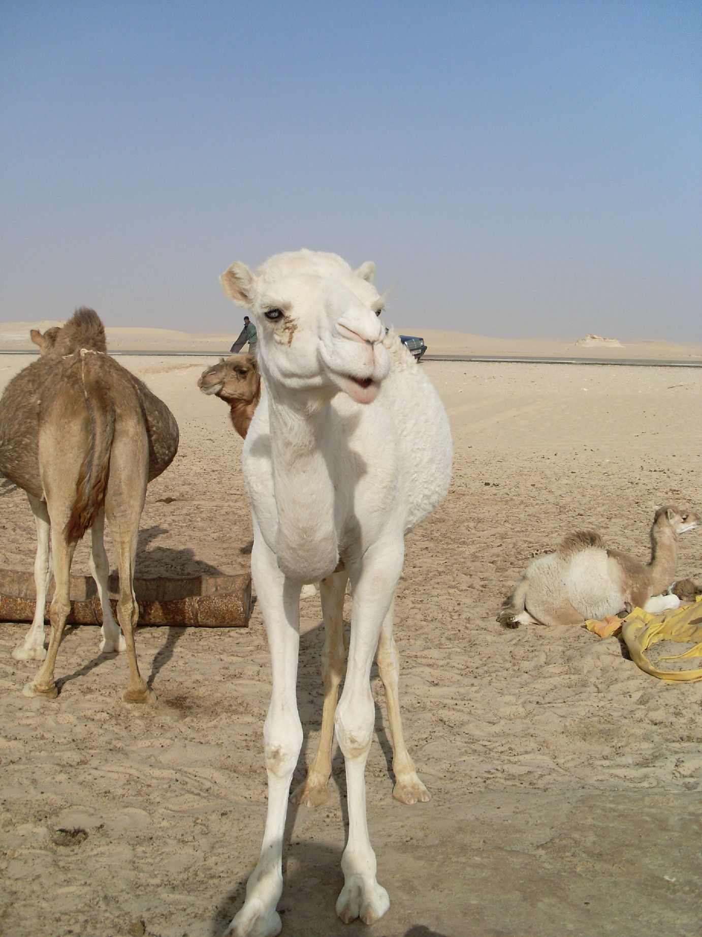 23. Imagen de los alrededores de Nouadhibou