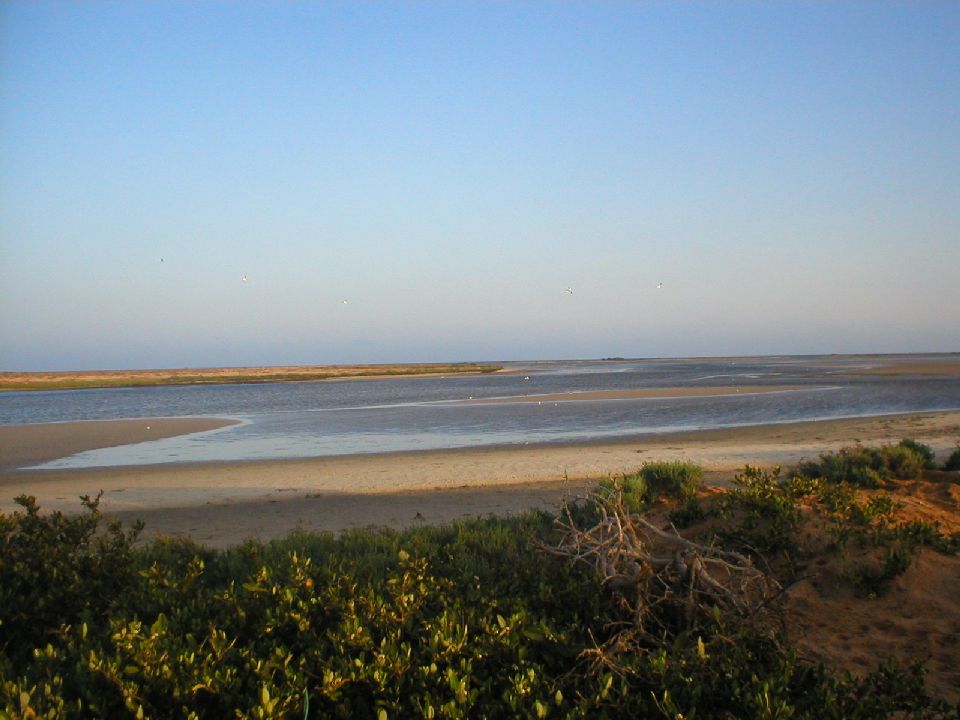 2. Imágenes del Parque Nacional del Banco de Arguin, Mauritania
