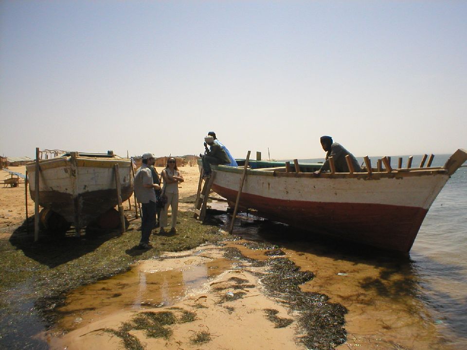 3. Imágenes del Parque Nacional del Banco de Arguin, Mauritania