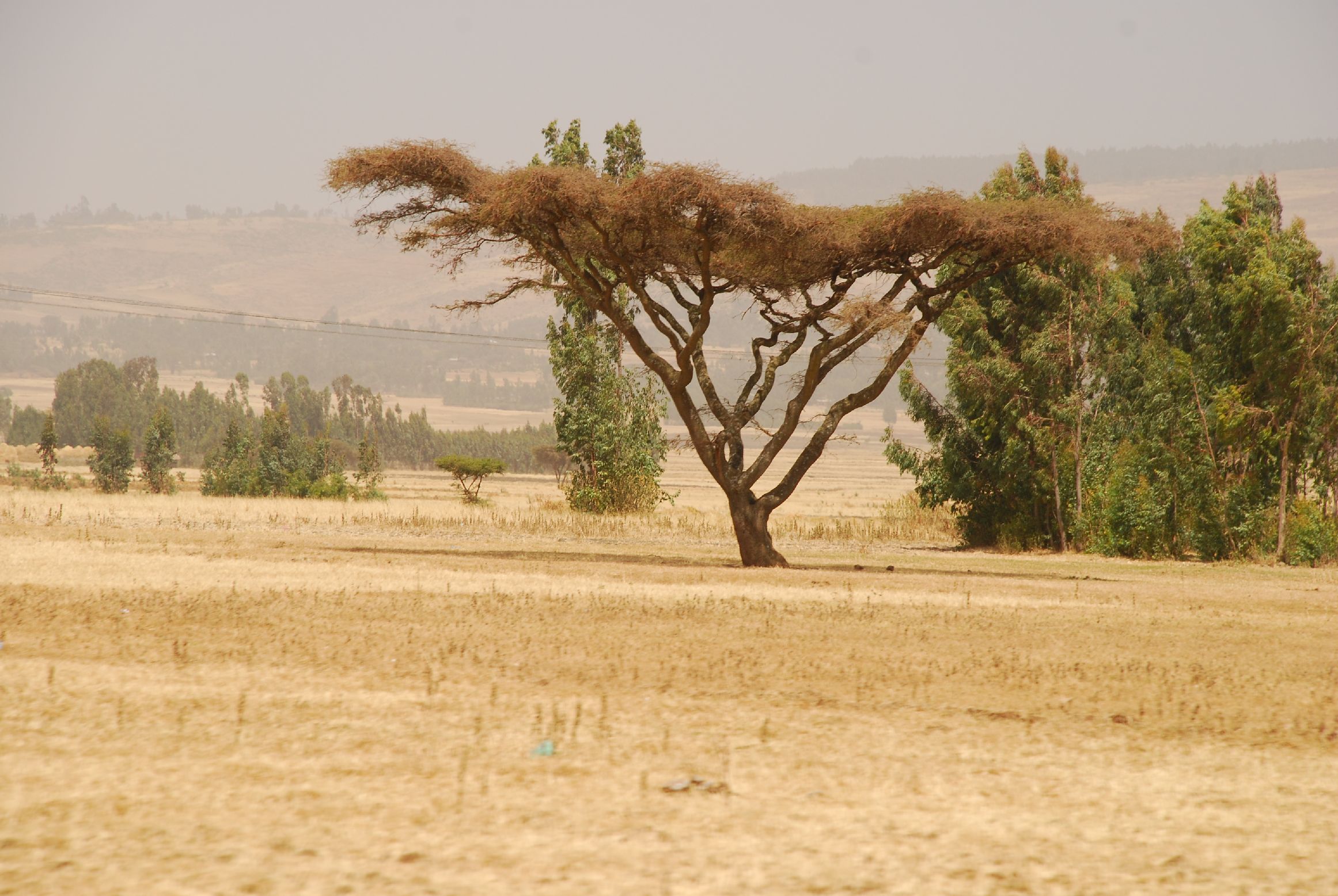 16. Imágenes de Addis Abeba, Etiopía