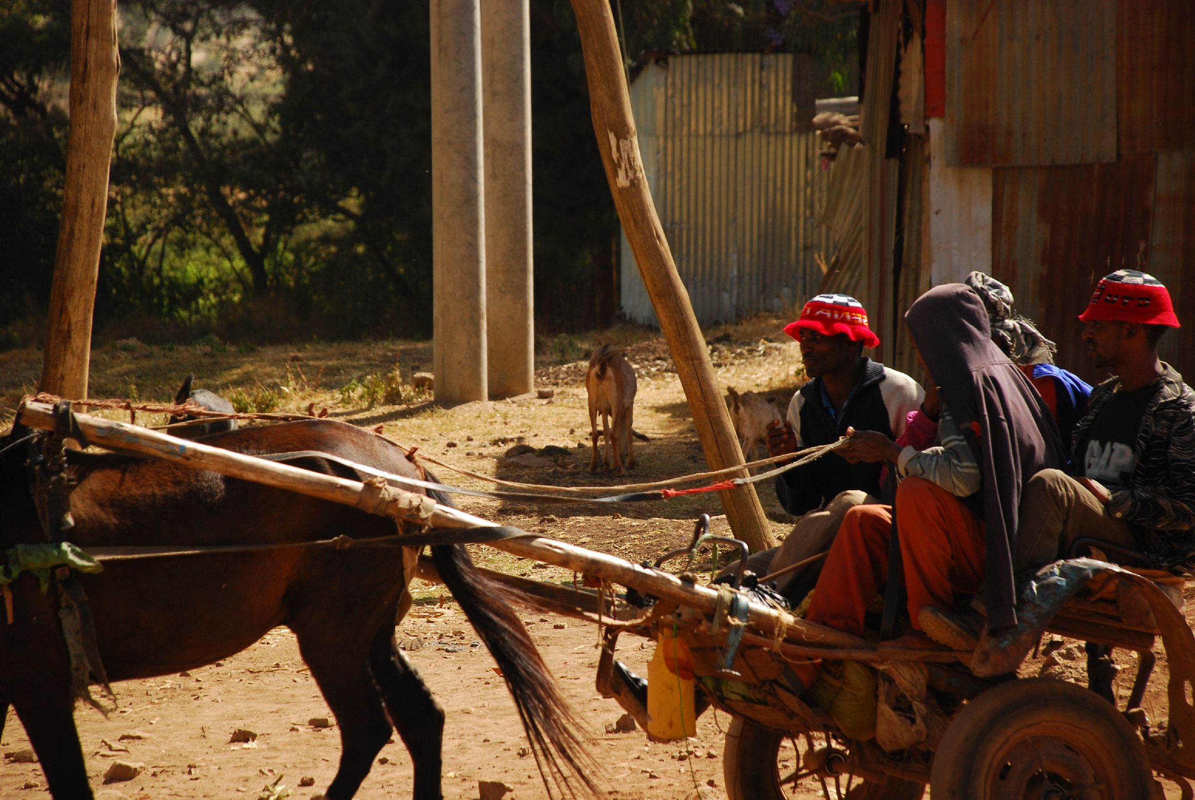 25. Imágenes de Addis Abeba, Etiopía