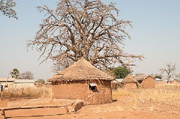 24. Regresode Pendjari. Hacia Boukoumbe
