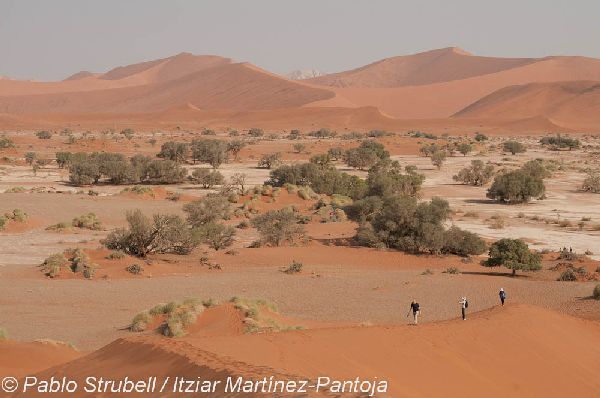 13. Sossusvlei