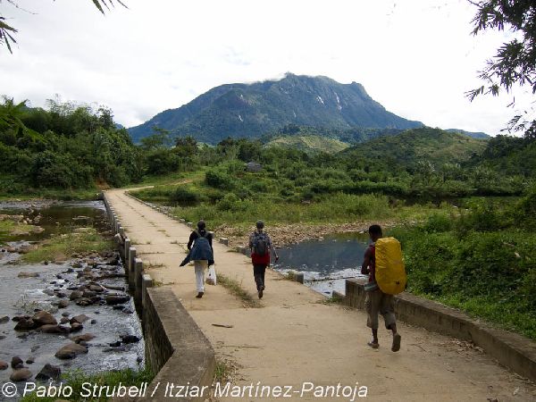 6. Parque Nacional Marojejy