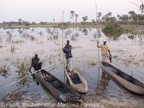 10. Okavango. Regreso al Campamento