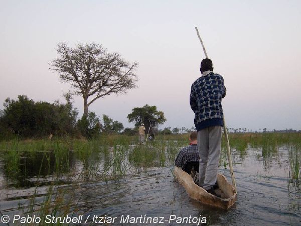 11. Okavango. Regreso al Campamento