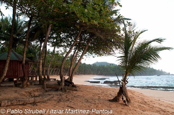 9. Playa Jale