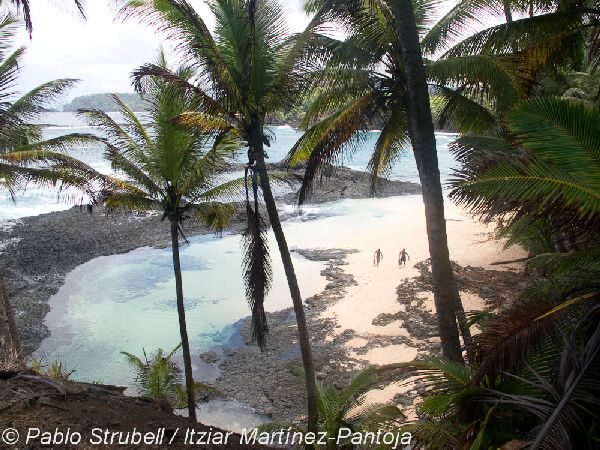 10. Praia. Piscina Pescadores