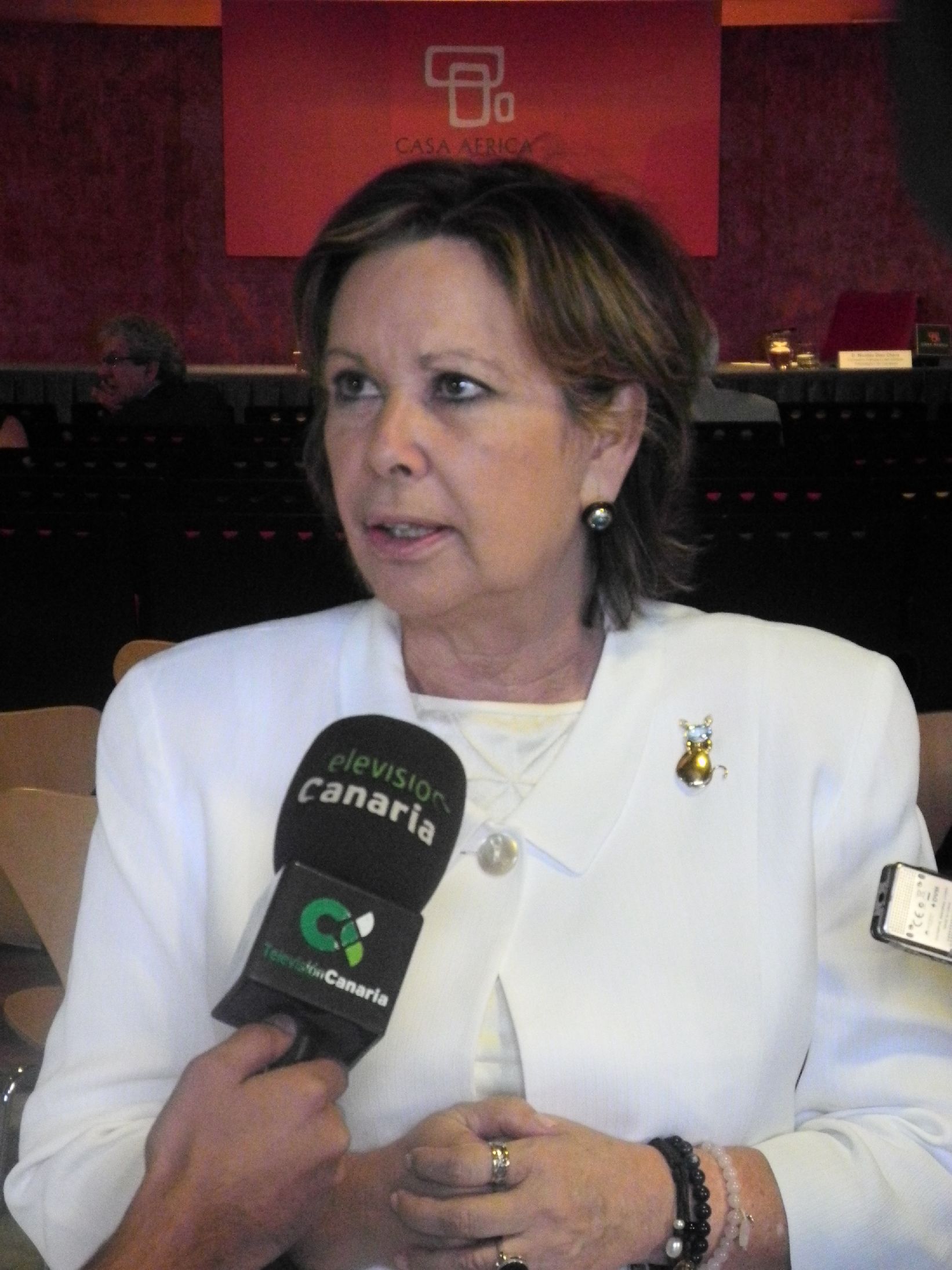 5. Entrevista a Francisca Luengo -Vicenconsejera de Industria del Gobierno de Canarias-