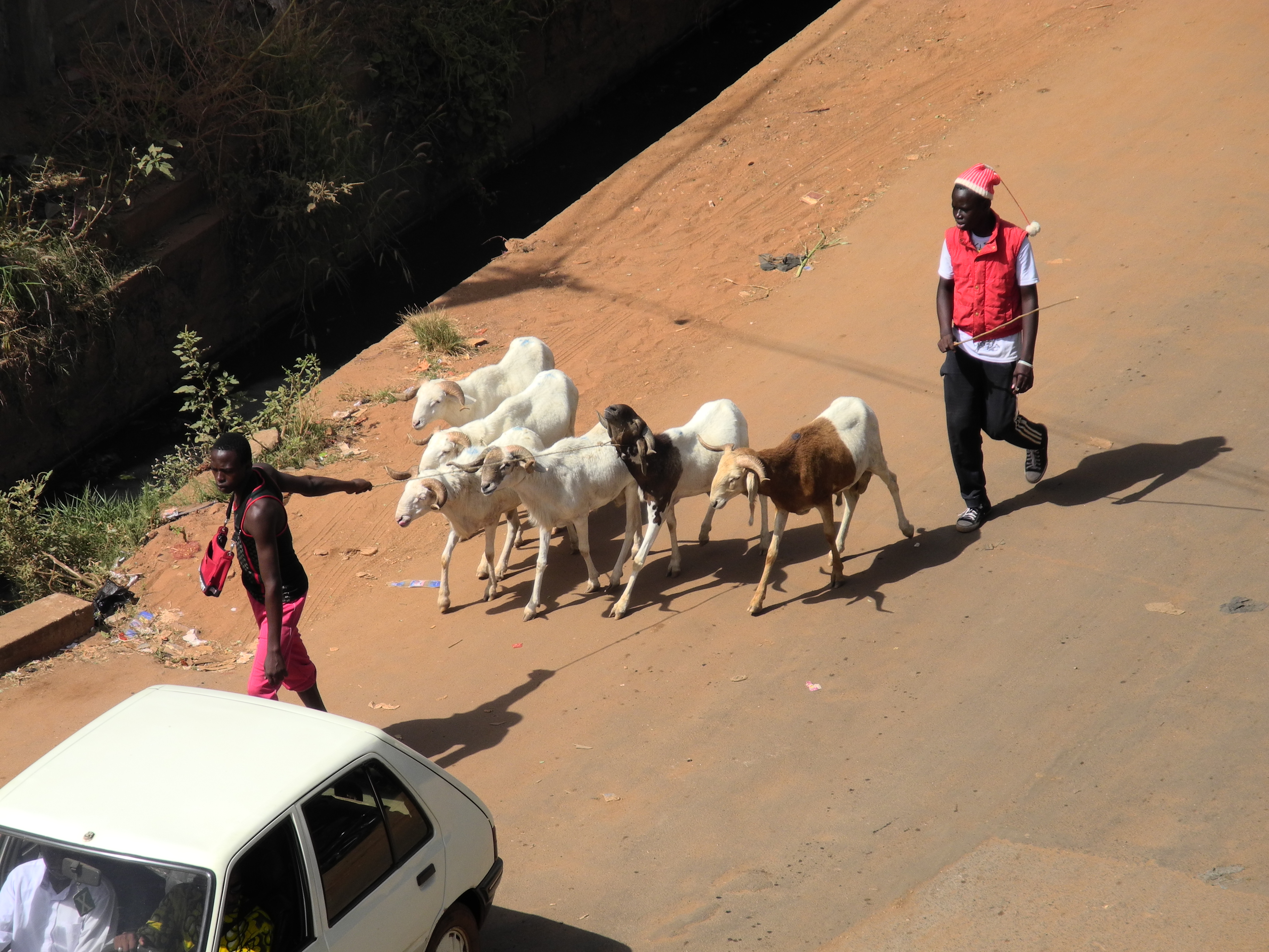 20. Imágenes de la ciudad de Bamako, Mali