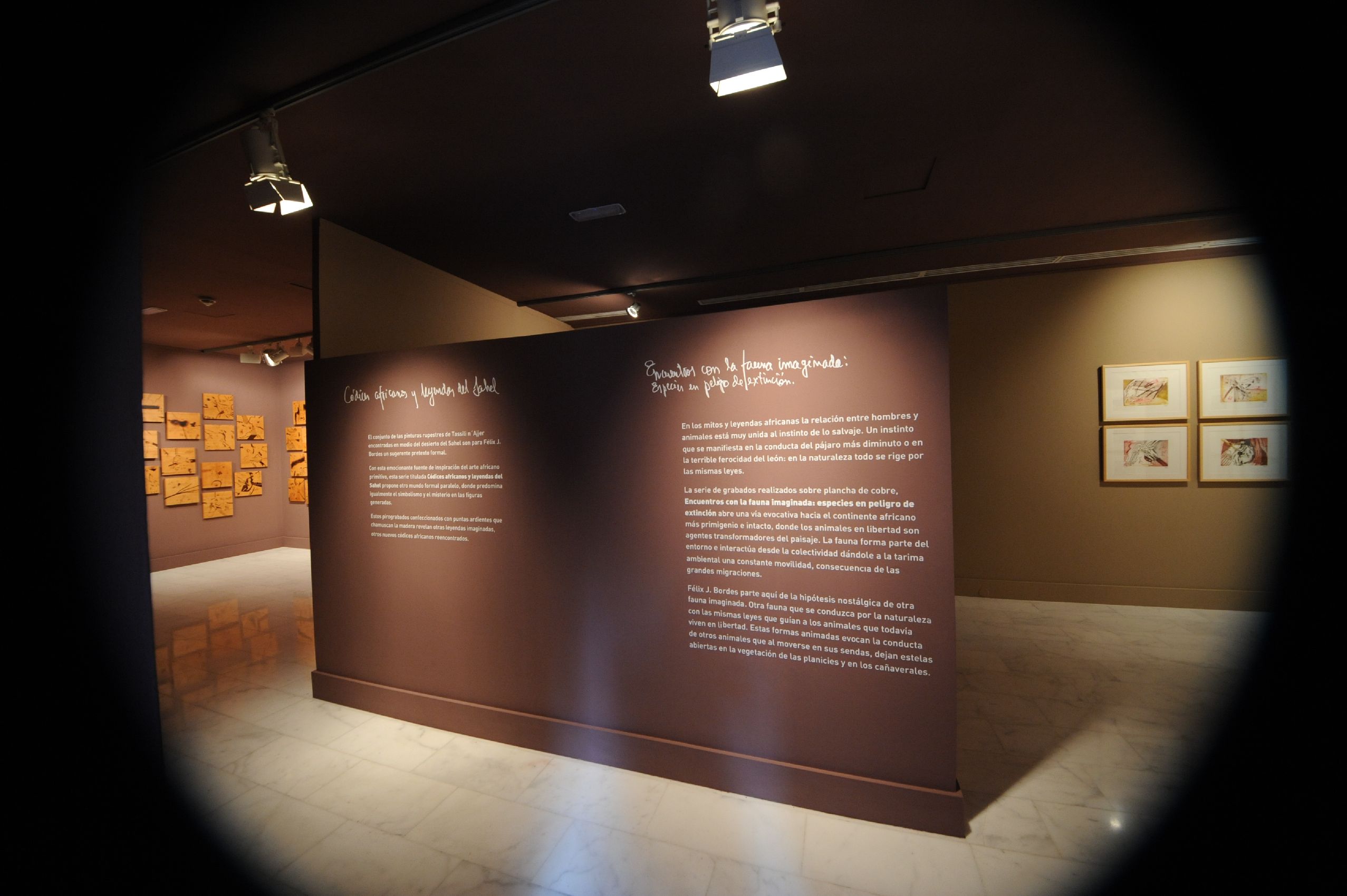 18. Imagen de la exposición en Casa África AEA Tubab: ¿África es así, m’zungu?, 2008