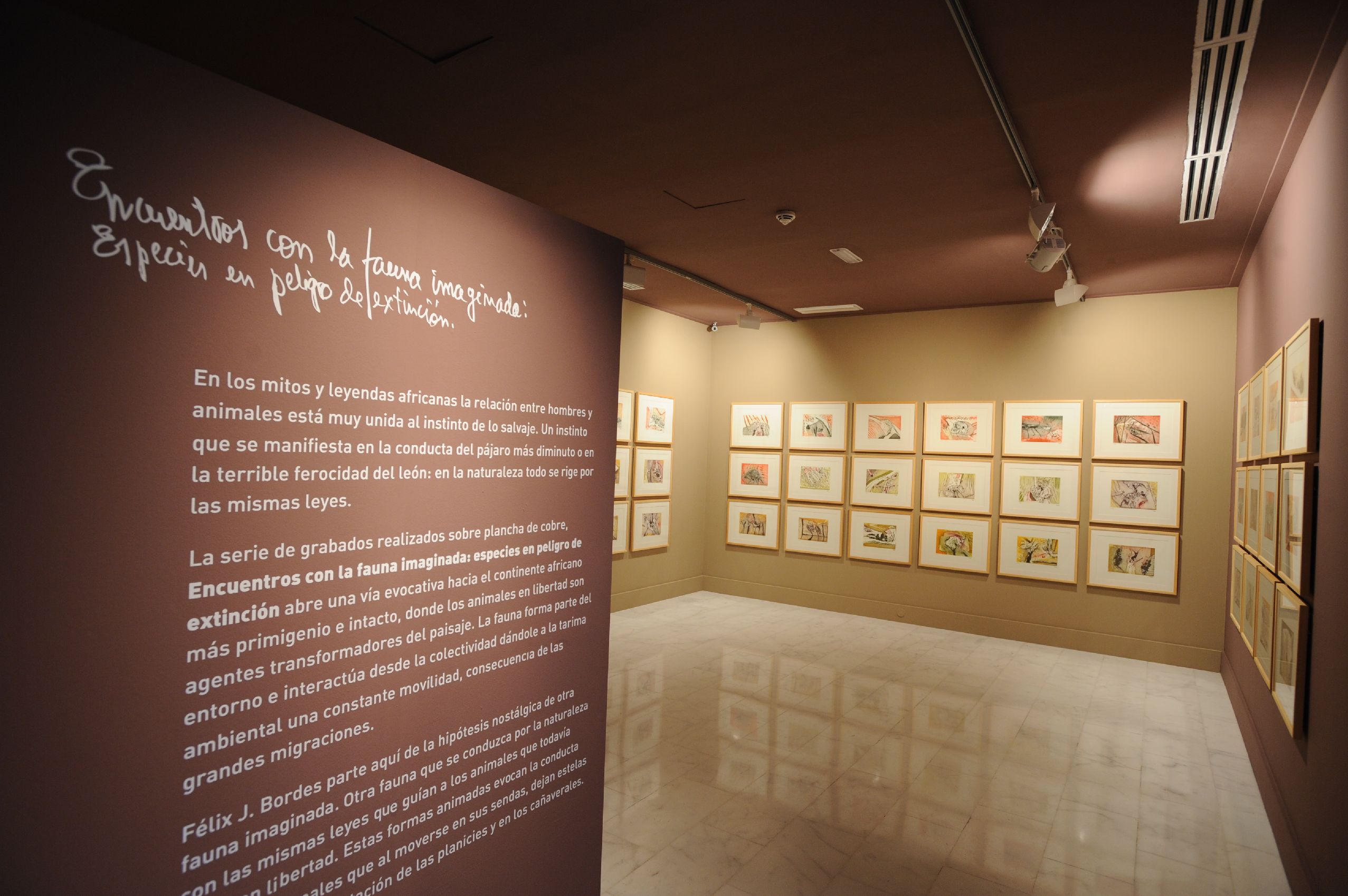 22. Imagen de la exposición en Casa África AEA Tubab: ¿África es así, m’zungu?, 2008