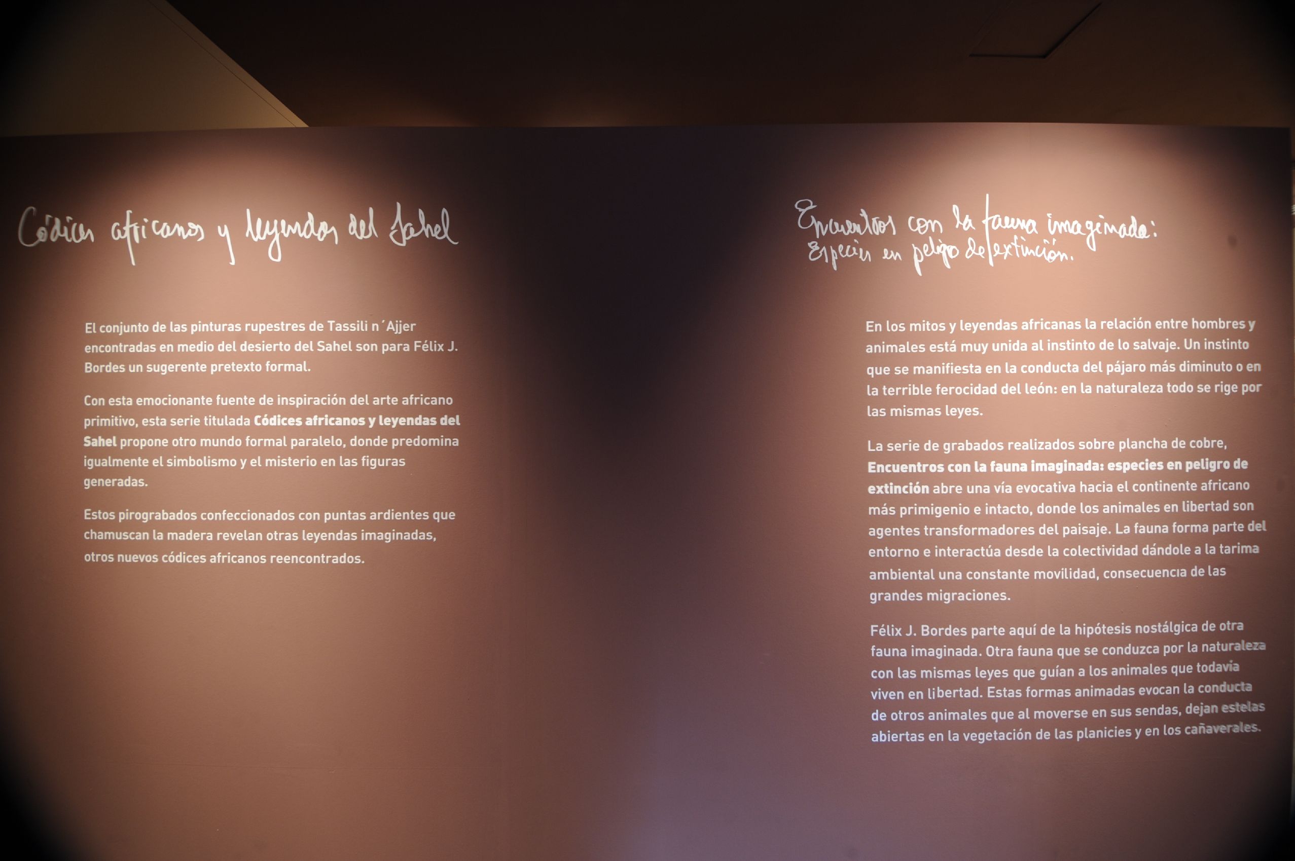 26. Imagen de la exposición en Casa África AEA Tubab: ¿África es así, m’zungu?, 2008