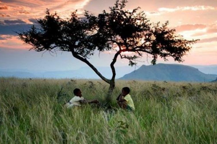 Burgos acoge un ciclo de cine africano con estrenos todos los jueves del mes de enero