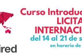 Curso Introductorio de Licitaciones Internacionales